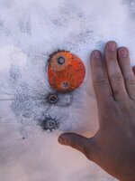 IMG_0813.jpeg