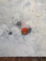IMG_0800.jpeg