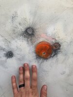 IMG_0801.jpeg