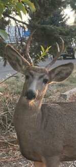 IMG_1709.jpeg
