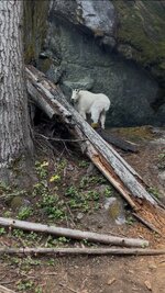 IMG_5311.jpeg