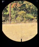IMG_4211.jpeg