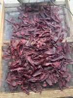 IMG_7921.jpeg