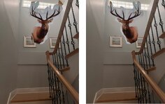 stairs L vs R.jpg