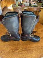 thumbnail_IMG_3702.jpg