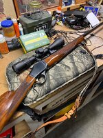 IMG_8537.jpeg