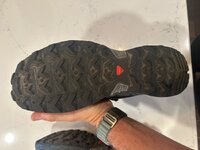 IMG_3964.jpeg