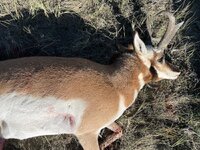 IMG_0218.jpeg