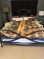 IMG_3323.jpeg