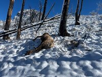 IMG_3343.jpeg