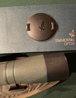 IMG_1146.jpeg IMG_1146.jpeg