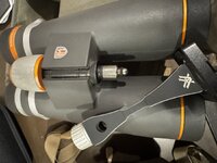 IMG_3768.jpeg