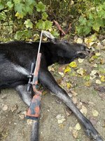 IMG_0640.jpeg
