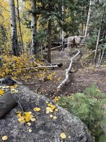 IMG_0078.jpg