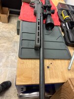 IMG_4277.jpeg