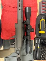 IMG_4278.jpeg
