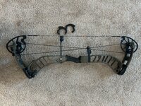 IMG_2958.jpeg