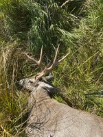 IMG_6331.jpeg