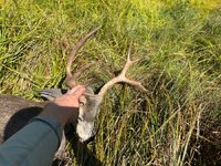 IMG_6333.jpeg
