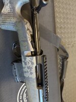 IMG_2675.jpeg