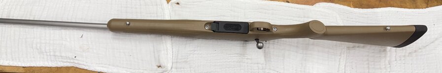 IMG_0124.jpeg
