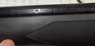 IMG_0128.jpeg