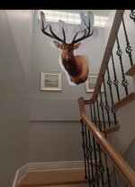 IMG_0443.jpeg