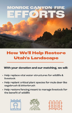 Monore Fire banner 2-4-Rokslide promo.png