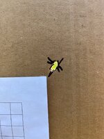 IMG_4682.jpeg