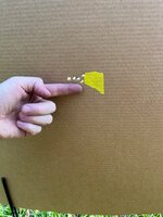 IMG_4684.jpeg