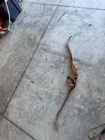 IMG_6133.jpeg
