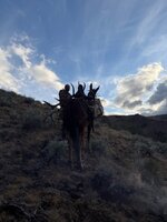 IMG_7014.jpeg IMG_7014.jpeg