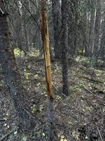 IMG_0202.jpg