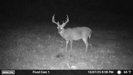 9 point.jpg