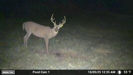 10 point.jpg