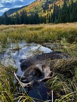 IMG_E0208.jpg
