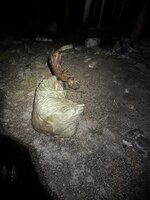 IMG_0272.jpg