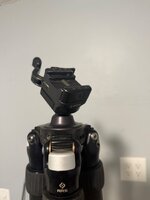 IMG_0618.jpeg