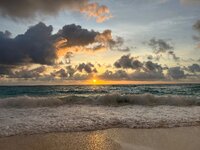 IMG_1792.jpeg