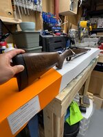 IMG_2313.jpeg