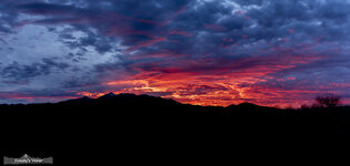 FG8A3629-Pano.jpg