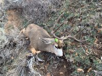 IMG_0257.jpeg