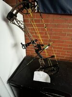 IMG_8117.jpeg