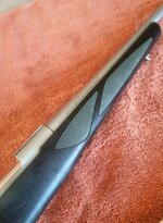 IMG_20251010_072146.jpg