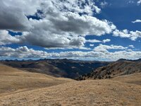 IMG_3301.jpeg