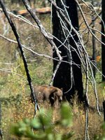 IMG_9061.jpeg