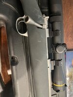 IMG_0126.jpeg