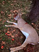 IMG_2211.jpeg