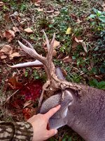 IMG_2210.jpeg