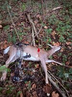 IMG_2263.jpeg